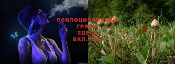 прущий лед Инта