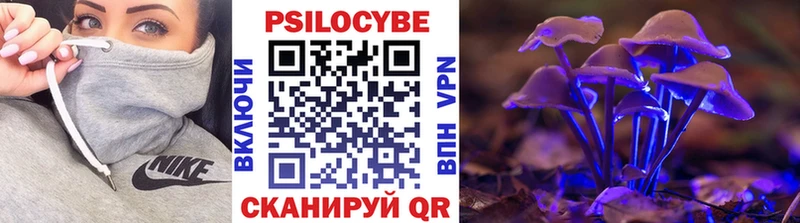 площадка официальный сайт  Можайск  Галлюциногенные грибы прущие грибы 